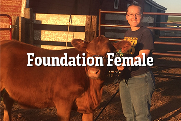 Foundation Female Program Thumbnail