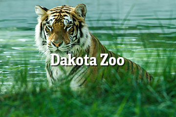 Dakota Zoo thumbnail