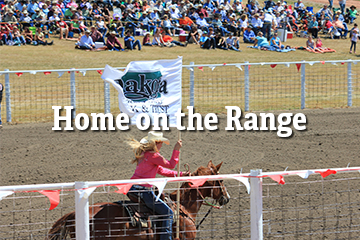 Home on the range thumbnail